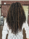 LACE FRONT SILVIA -  PRETO COM MECHAS F2/27 SLEEK (PREMIUM)
